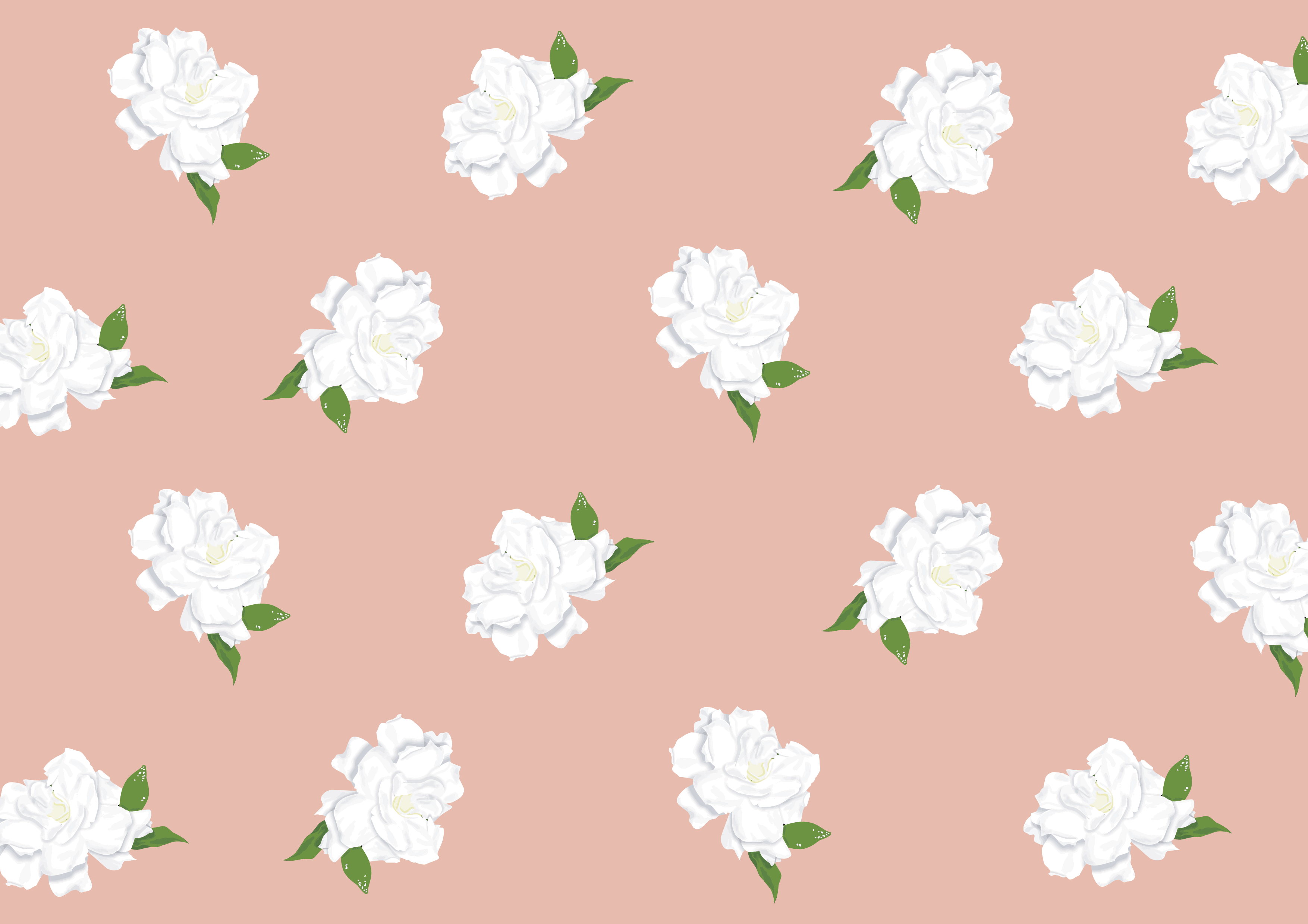 3508x2480 Gardenia Flower Vector Graphic