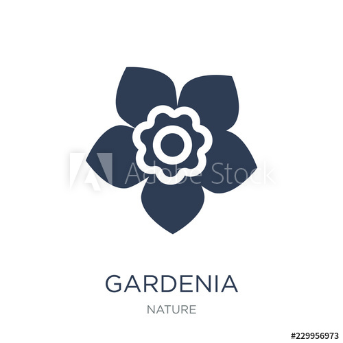 500x500 Gardenia Icon Trendy Flat Vector Gardenia Icon On White