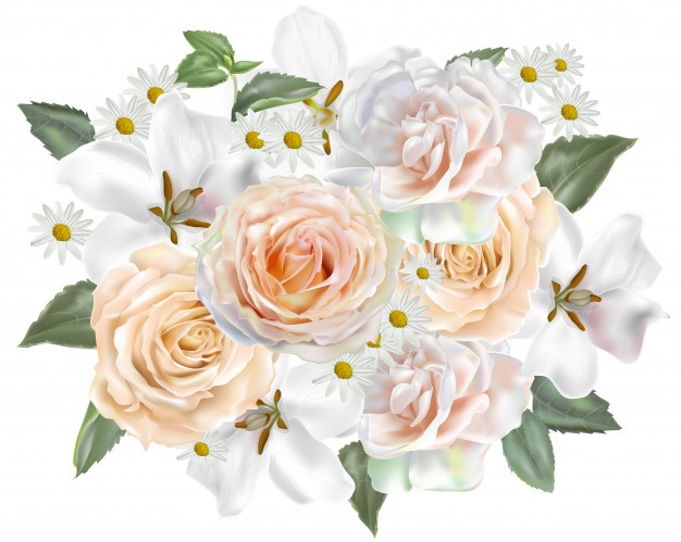 626x499 Gardenias Vectors, Photos And Free Download