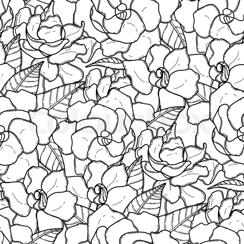 800x800 Graphic Gardenia Vector Seamless Stock Vector Colourbox