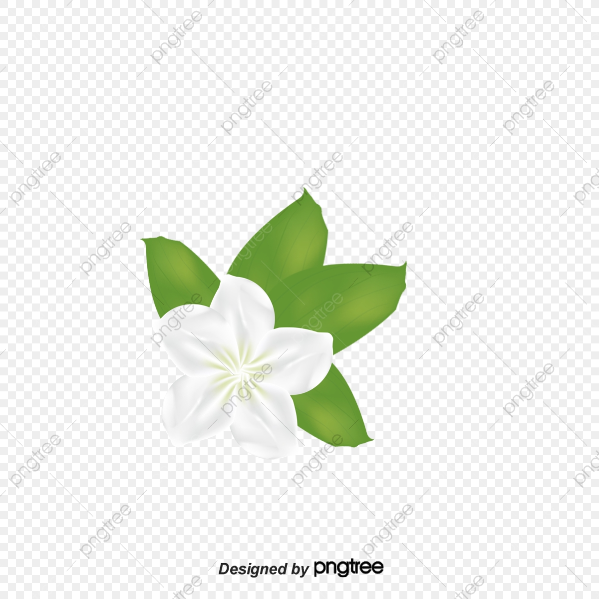 1200x1200 Gardenia Pattern Vector, Vector, Gardenia, Pattern Png And Vector