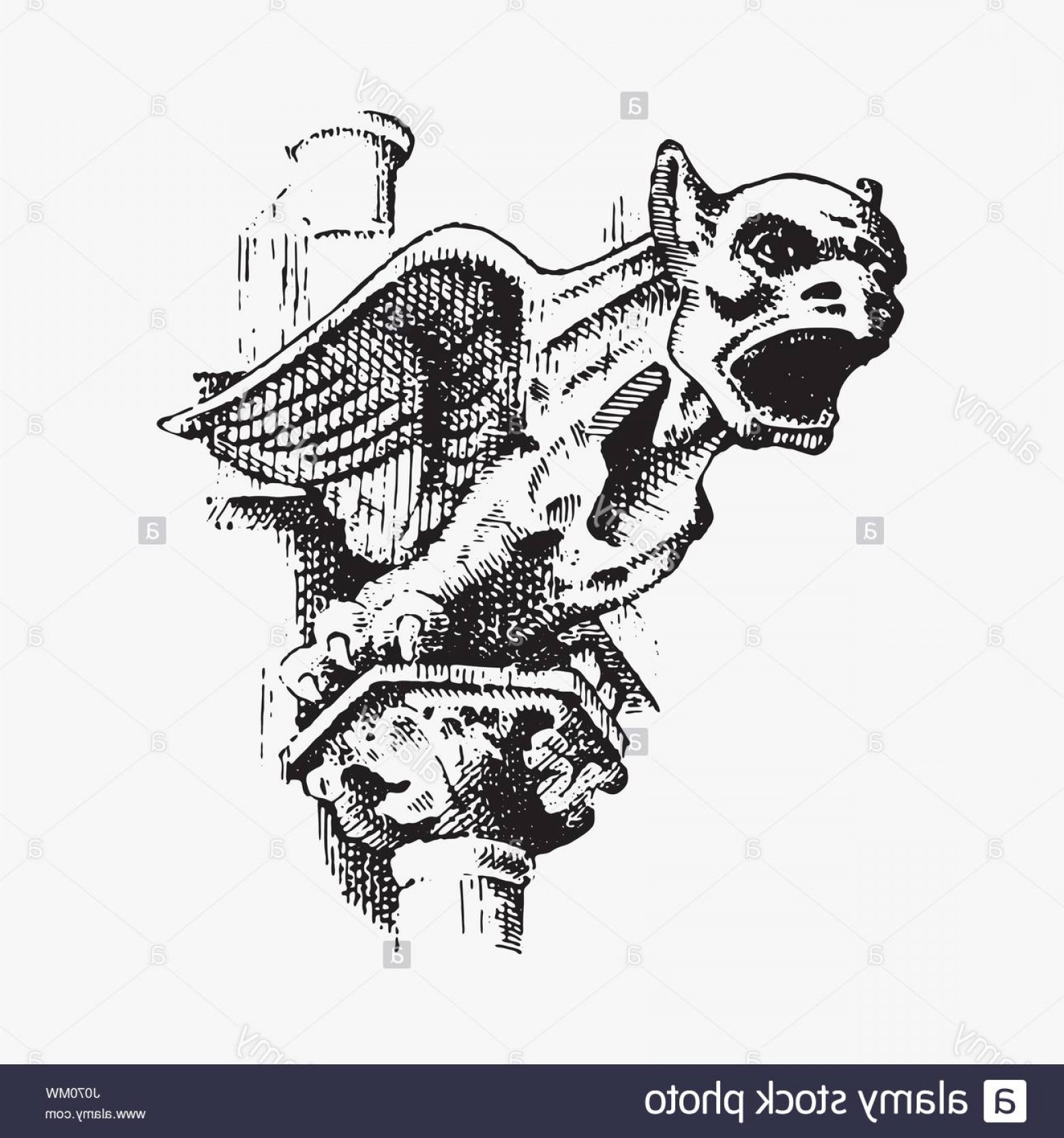 1560x1668 Gargoyle Vector Savoyuptown