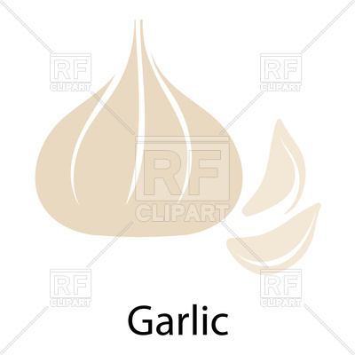 400x400 Garlic Vector Image Of Plants And Animals Angelp