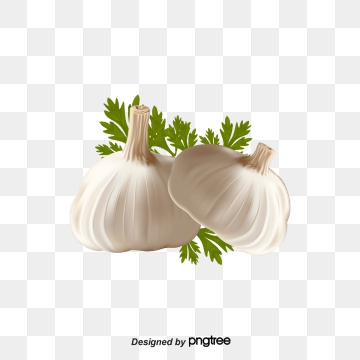 360x360 Garlic Vector Png, Vector, And Clipart With Transparent