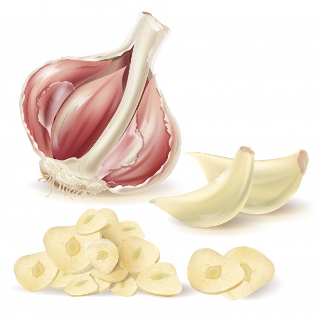 626x626 Garlic Vectors, Photos And Free Download