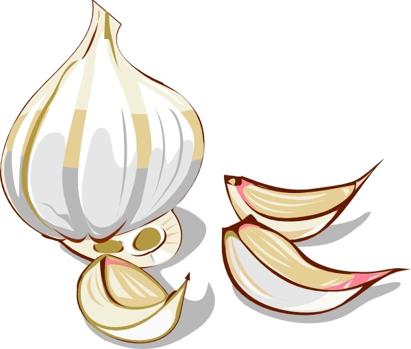 600x510 Garlic Clip Art Free Vector In Open Office Drawing