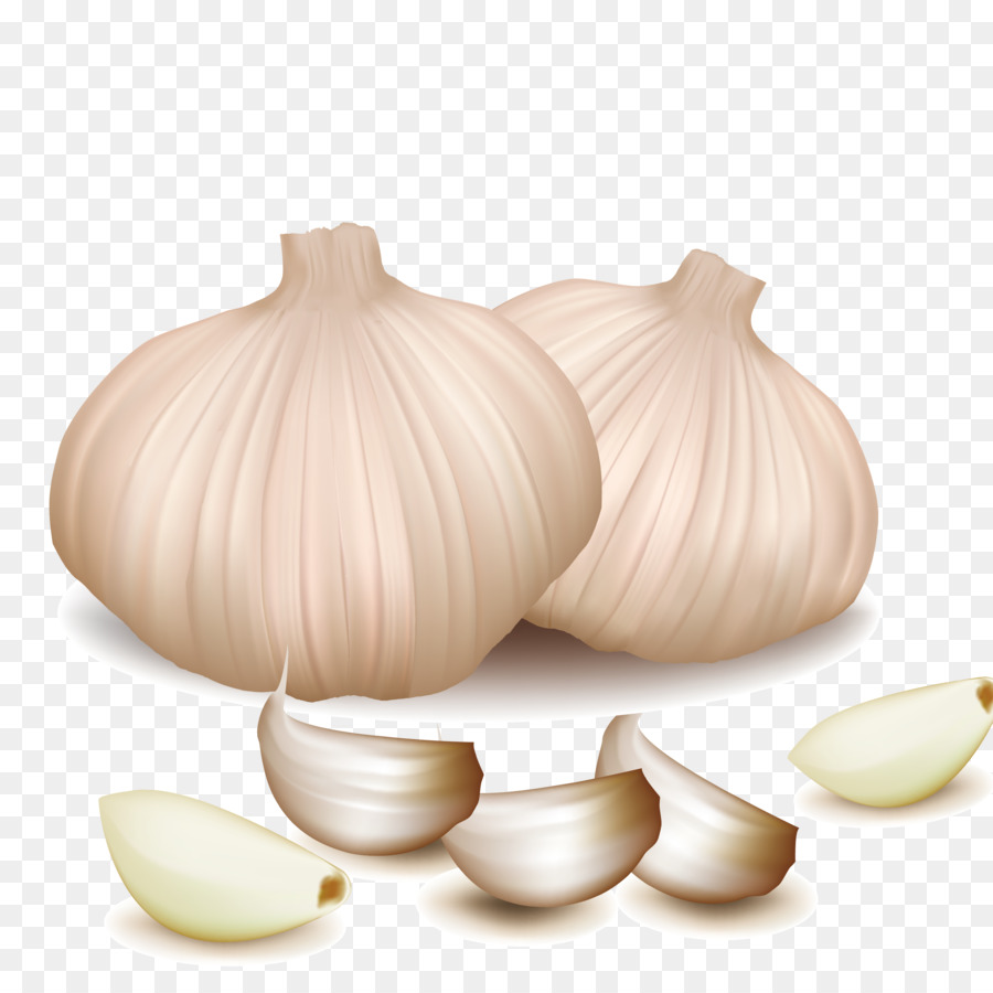 900x900 Garlic Clipart Vector, Garlic Vector Transparent Free For Download