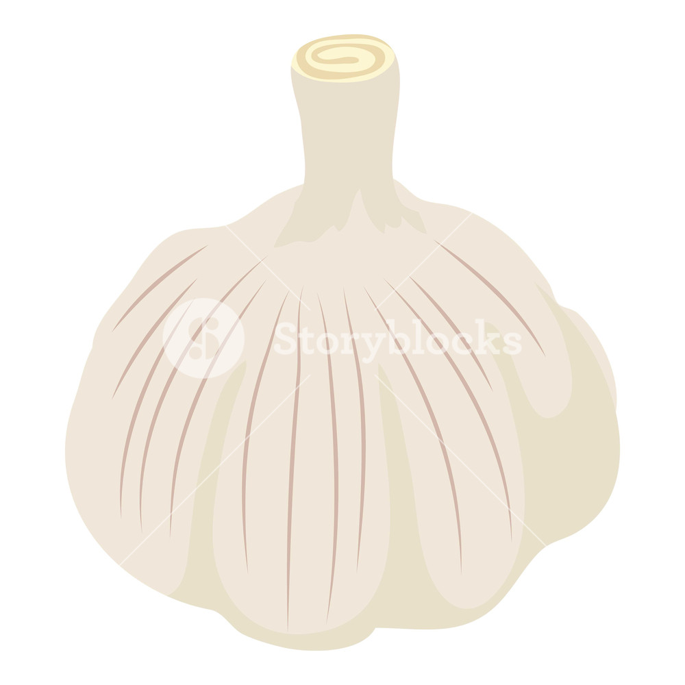 1000x1000 Garlic Icon Isometric Illustration Of Garlic Vector Icon For Web