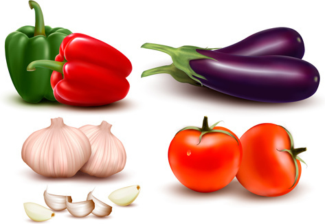 473x326 Garlic Vector Free Vector Download