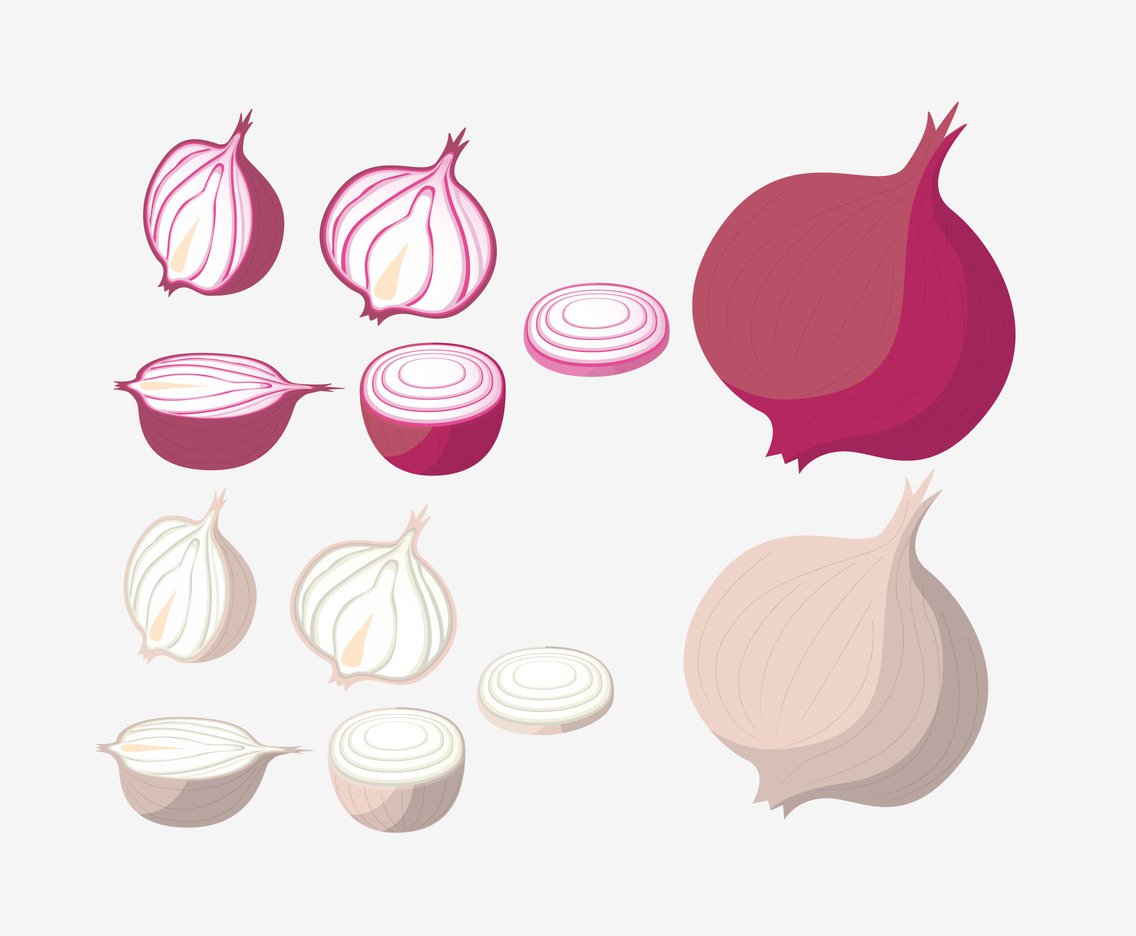 1136x936 Sliced Onion And Garlic Vector Art Graphics