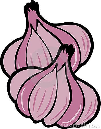 355x450 Vector Garlic Food Illustration Drawings, Food Drawing, Food