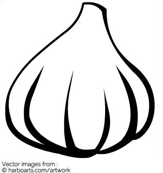 335x355 Download Garlic