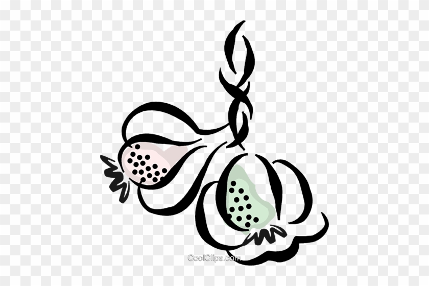 840x560 Garlic Cloves Royalty Free Vector Clip Art Illustration