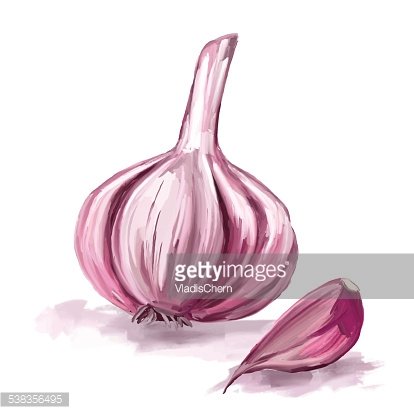 414x414 Garlic Vector Illustration Hand Drawn Painted Watercolor Premium