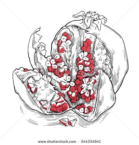 450x470 Hand Made Vector Sketch Of Garnet Sketch Of Garnet Vector