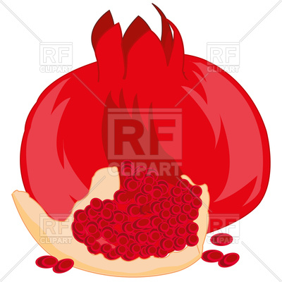 400x400 Ripe Fruit Garnet On White Background Is Insulated Vector Image