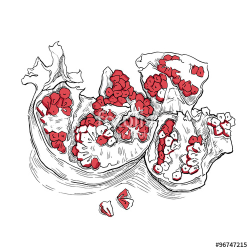 500x500 Sketch Of Garnet Vector Illustration Stock Image And Royalty