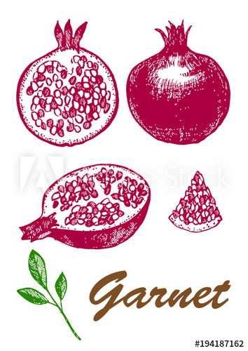 354x500 Whole And Half Garnet With Seed Vegetarian Food Botanical Food