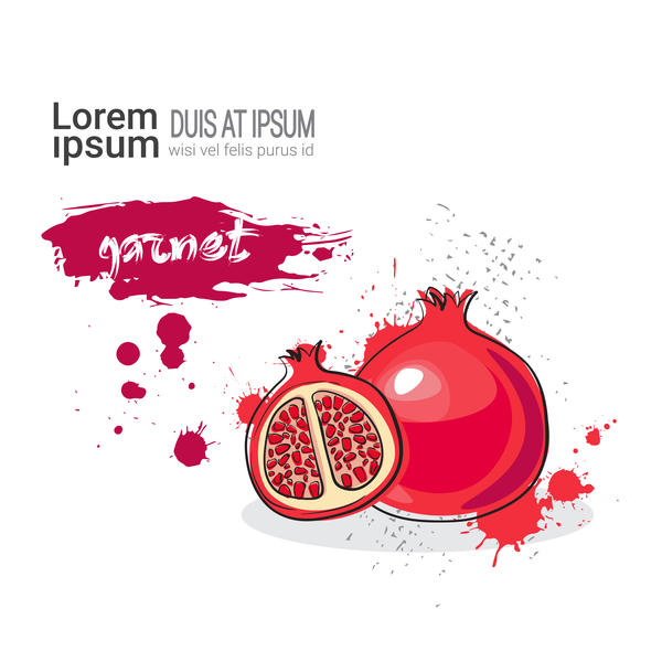 600x600 Garnet Watercolor Drawn Vector Free Download