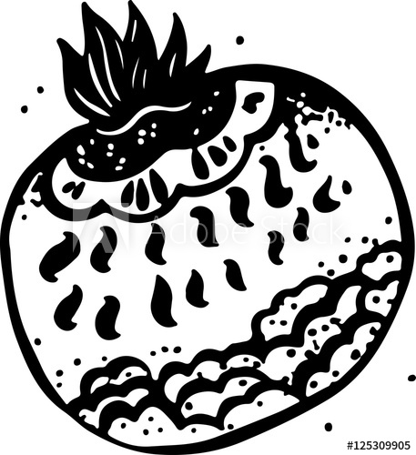 457x500 Drawing Hand The Fantastic Fruit Garnet Vector Illustration