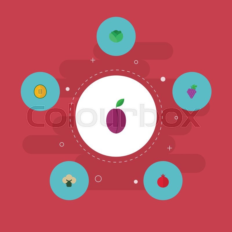 800x800 Flat Icons Garnet, Cauliflower, Stock Vector Colourbox