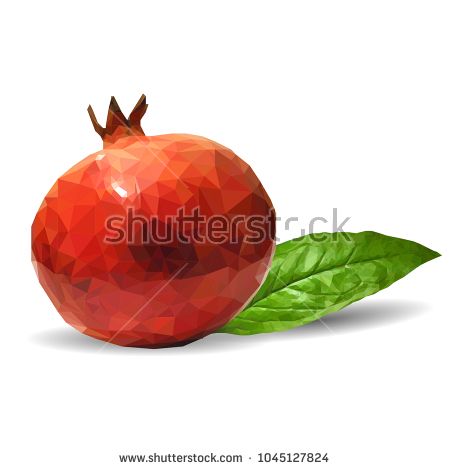 450x470 Fresh, Nutritious, Tasty Garnet Vector Illustration Fruits