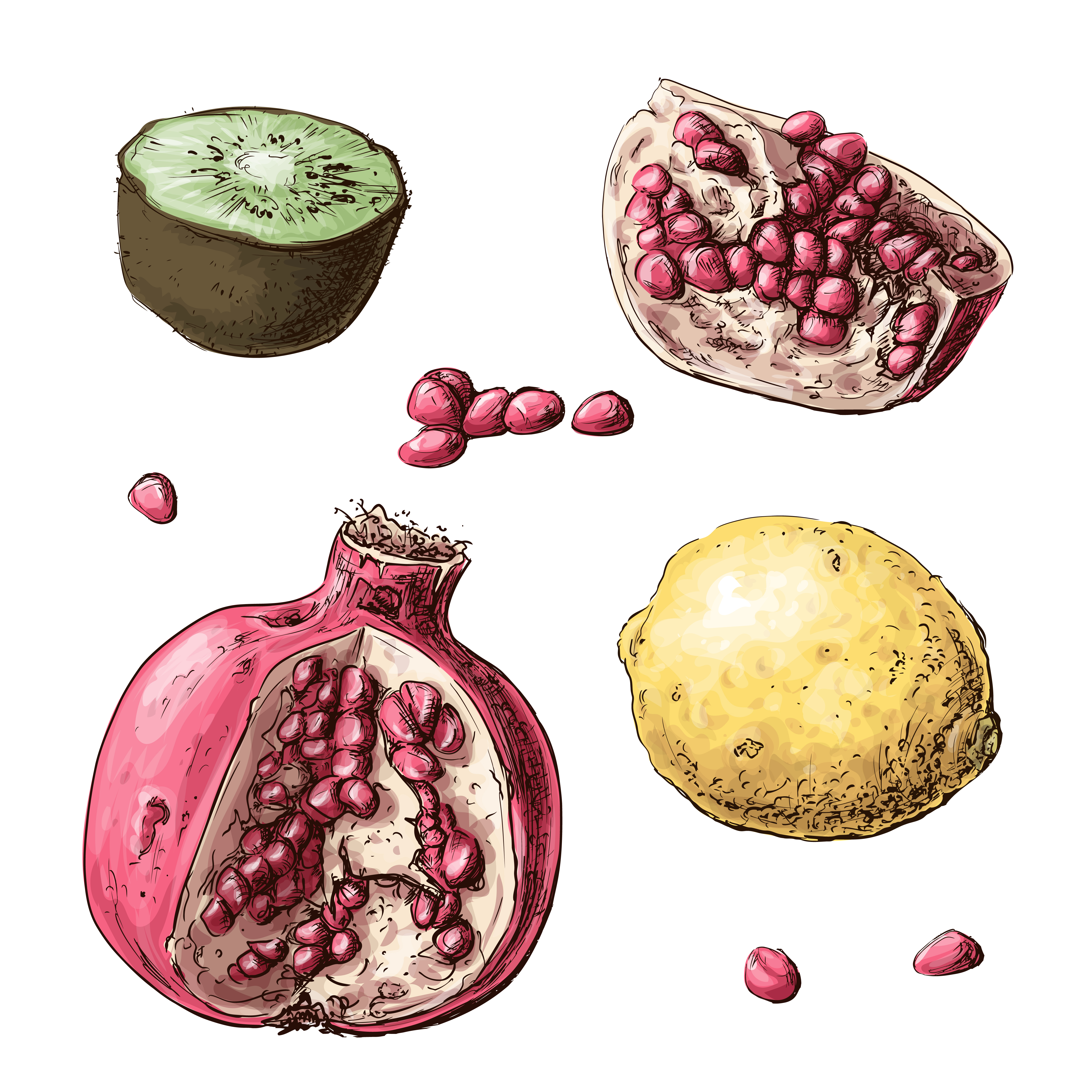 5000x5000 Garnet Free Vector Art