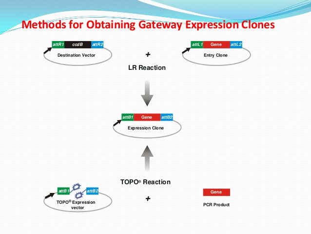 Gateway 638x479 Gateway