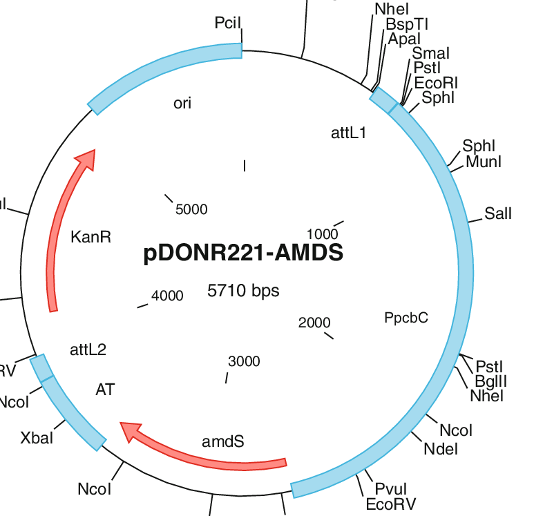 Map Of The Modifi Ed Gateway Destination Vector Amds 773x747 Map Of The Modifi Ed Gateway Destination Vector Amds
