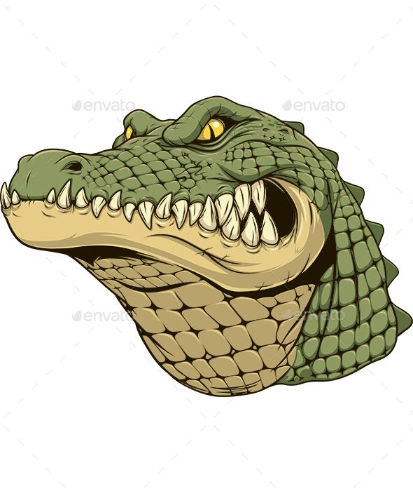 590x700 Ferocious Alligator Head Fonts Logos Icons Alligator Image
