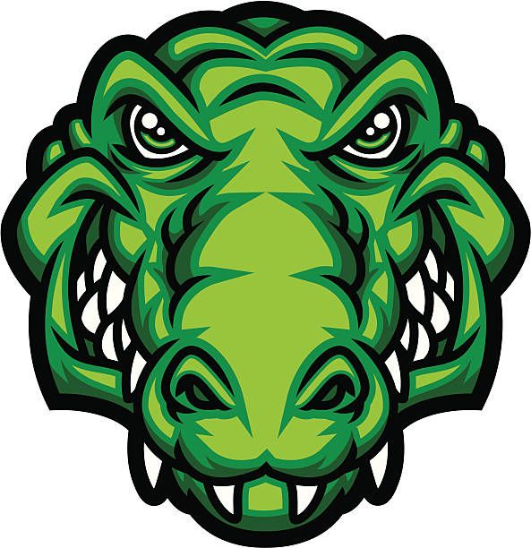 593x612 Gator Head Vector Art Illustration Rockin' It, Baby