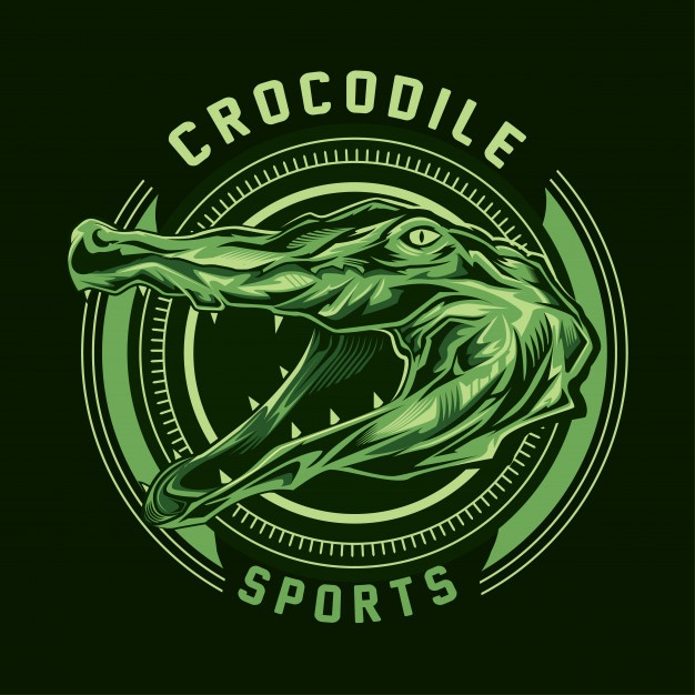 626x626 Alligator Head Vectors, Photos And Free Download