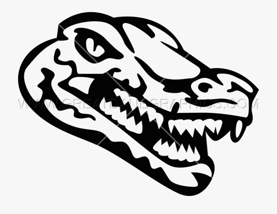 920x711 Alligator Vector Head