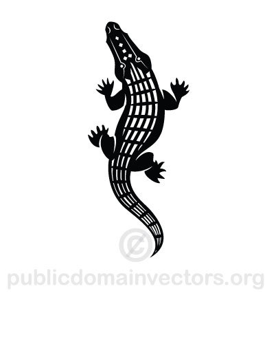 Alligator Vector Image 386x500 Alligator Vector Image