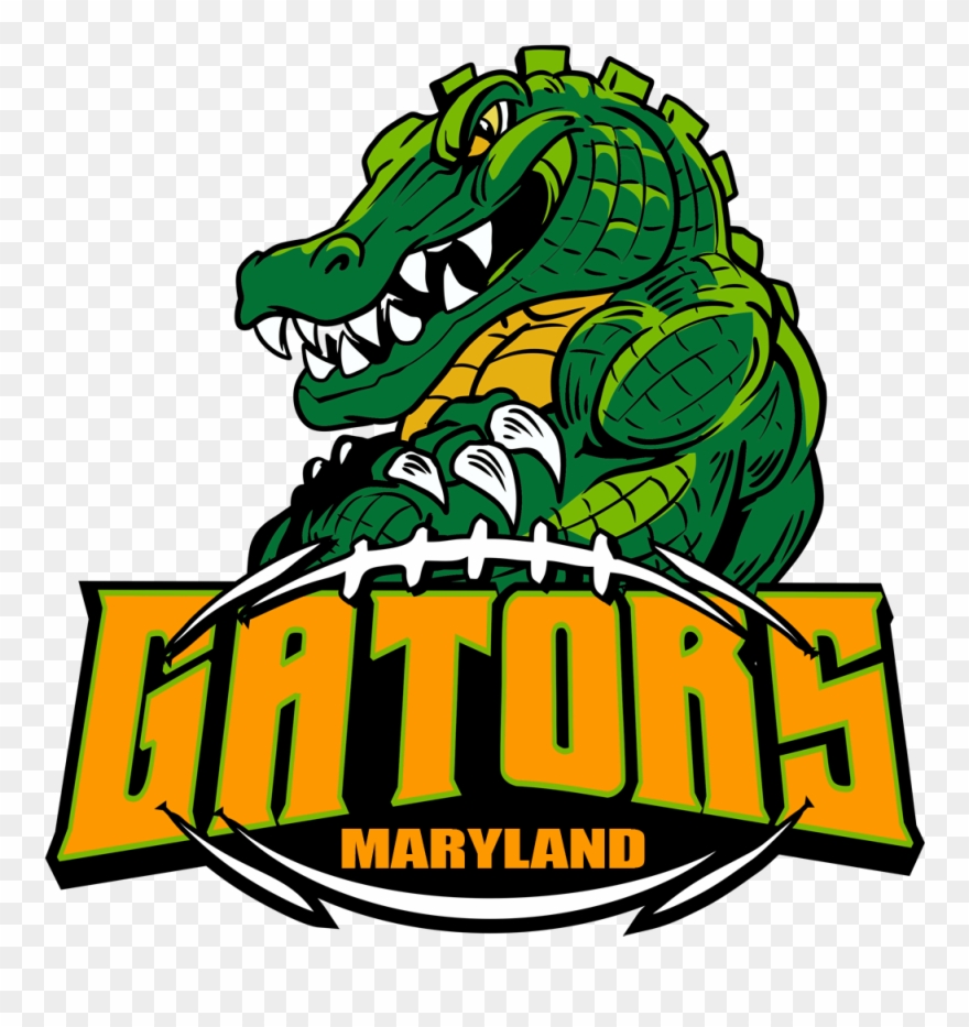 880x933 Gators Football Alligator University Of Logo Mascot