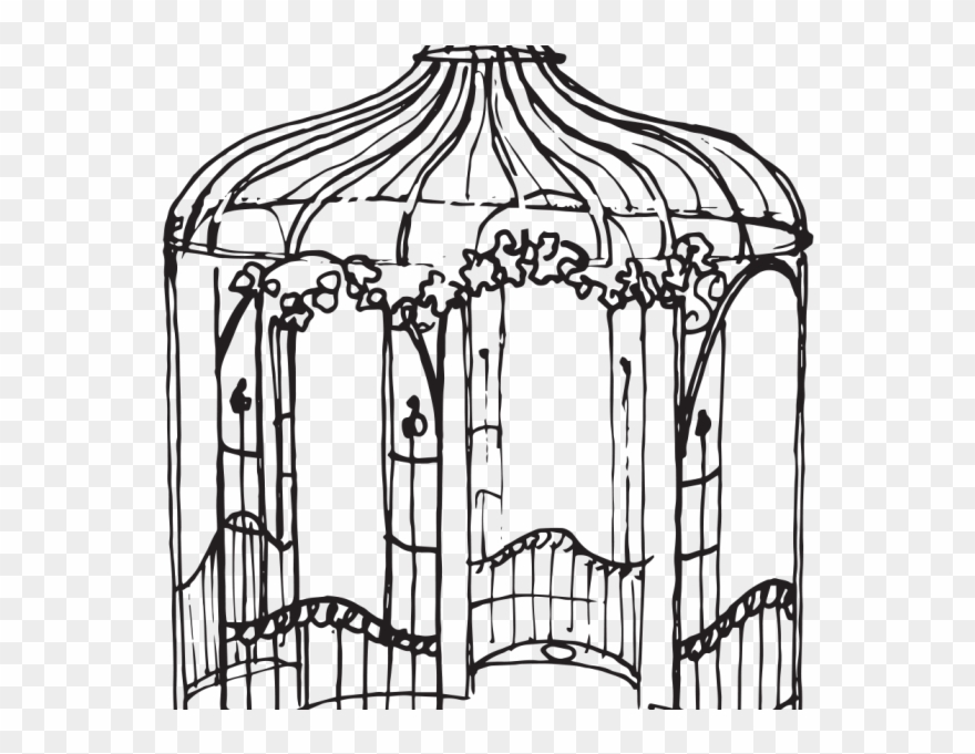 880x681 Cage Vector Noir