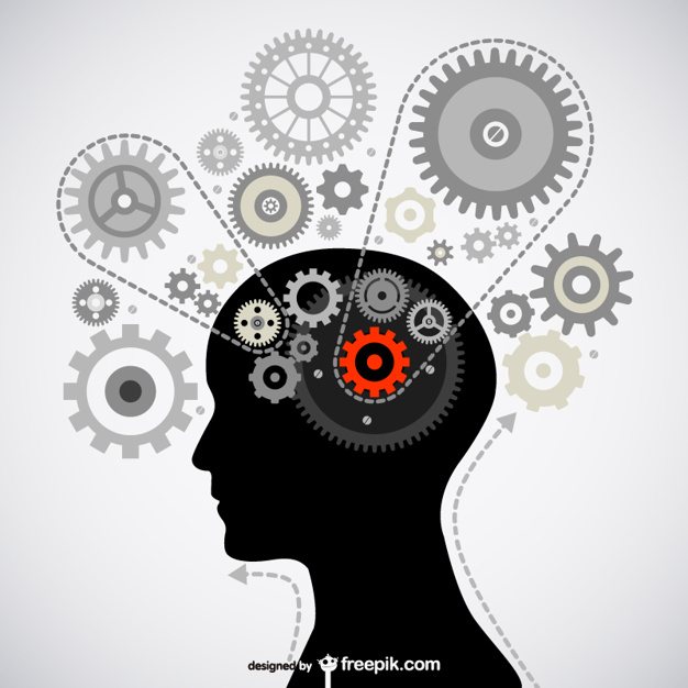 626x626 Brain Gear Vector Vector Free Download