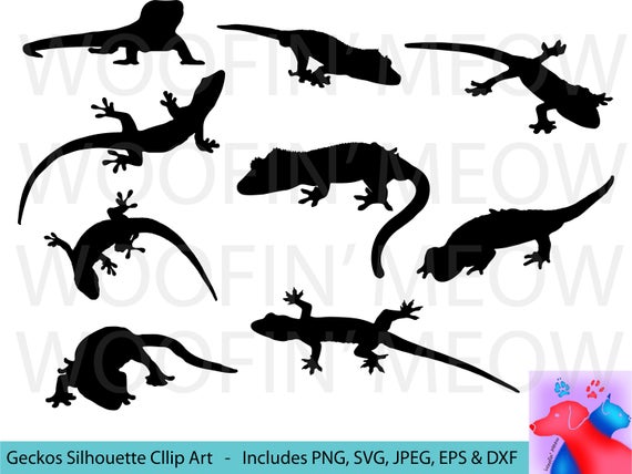 570x428 Gecko Clipart Gecko Silhouette Gecko Decal Gecko Vector Etsy