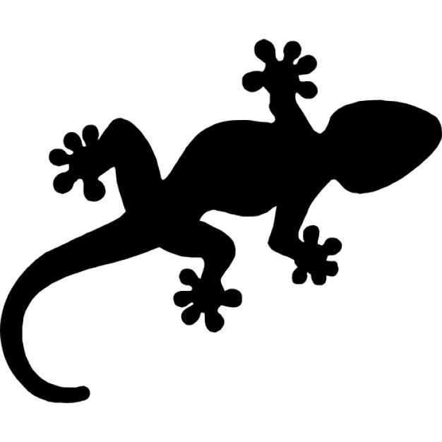 626x626 Gecko Reptile Shape Icons Free Download Art Cri