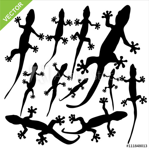 500x500 Gecko Silhouette Vector