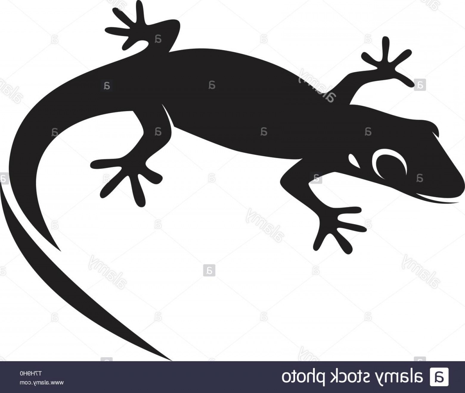 1560x1318 Lizard Chameleon Gecko Silhouette Black Vector Image Geekchicpro