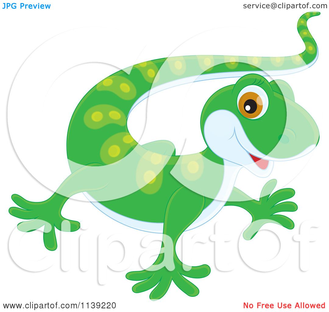 1080x1024 Cartoon Of A Cute Green Baby Gecko