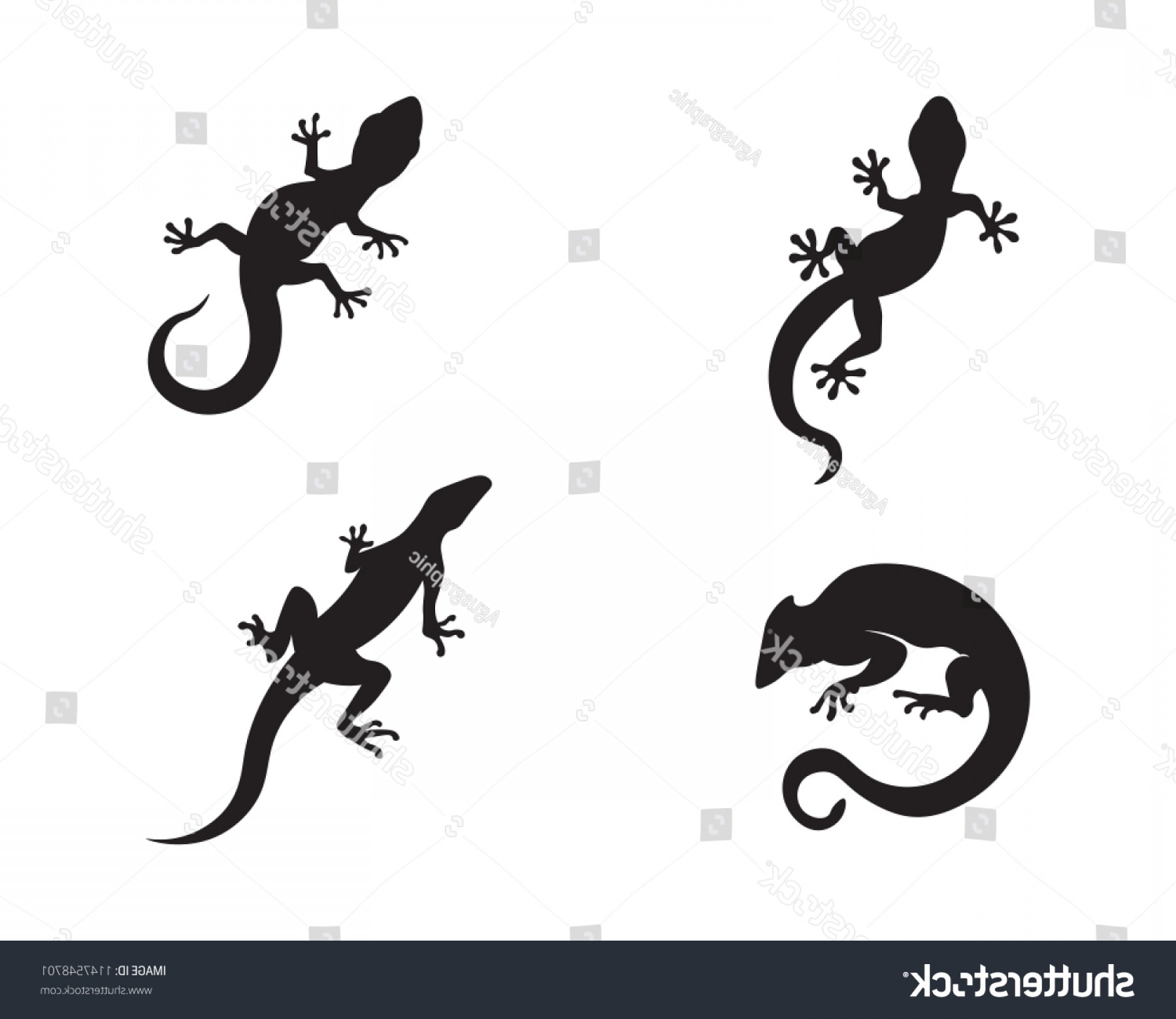 1800x1560 Lizard Vector Design Animal Reptile Gecko Newwaysys