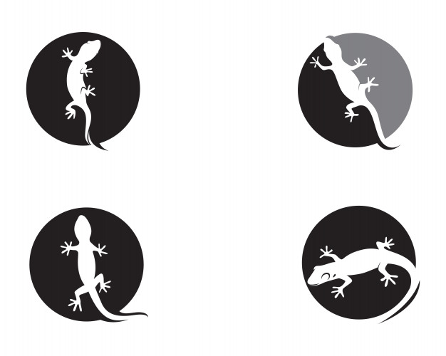 626x500 Lizard Chameleon Gecko Silhouette Vector Premium Download