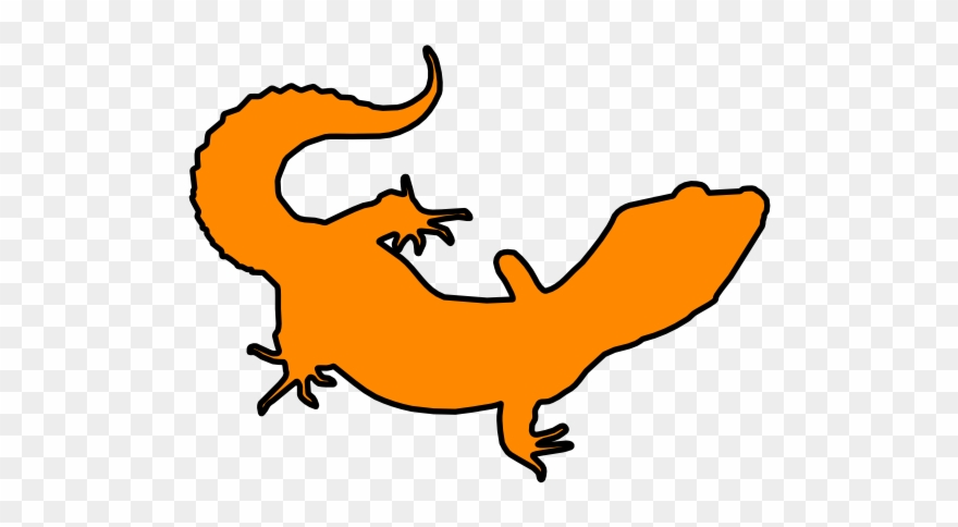 880x484 Tessellation Vector Gecko Clipart Royalty Free Stock