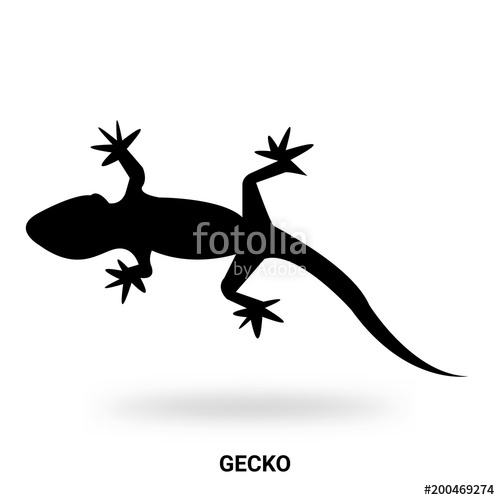 500x500 Gecko Silhouette Isolated On White Background Stock Image