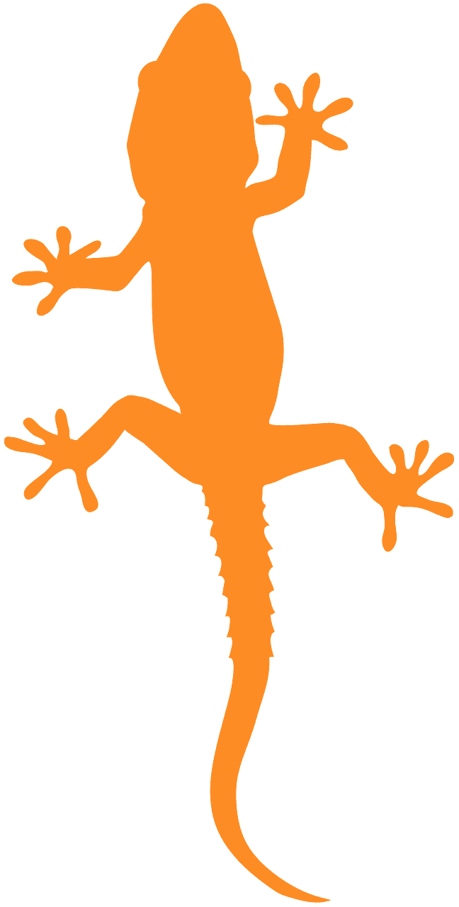648x1280 Gecko