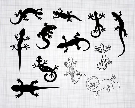 570x456 Gecko Bundle Gecko Gecko Clipart Gecko Etsy