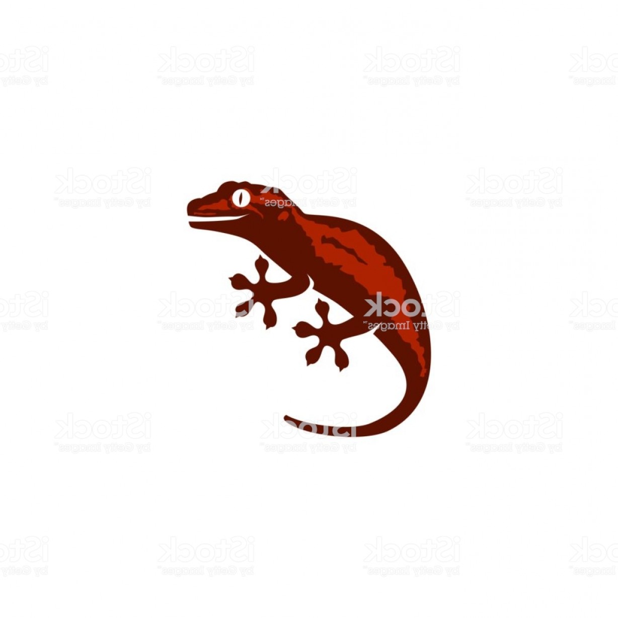 1228x1228 Gecko Vector Catamart