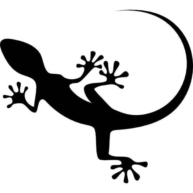 626x626 Gecko Vectors, Photos And Free Download Leather